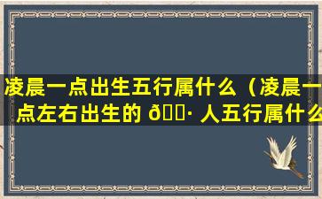 凌晨一点出生五行属什么（凌晨一点左右出生的 🌷 人五行属什么 🦅 ）